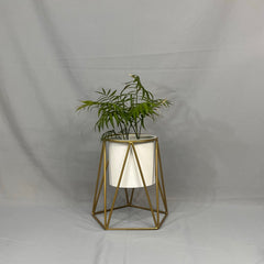 Agata Pequeña con Cilindro