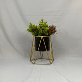 Agata Pequeña con Cilindro