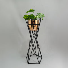 Base Cedro con Matero