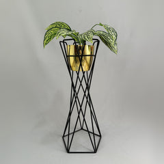 Base Cedro con Matero