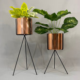 Set Diorita con Cilindros de Plastico acabado Metalizados