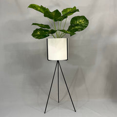 Diorita con Cilindro de Plastico Metalizado