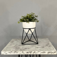 Mini Amazonia con Mini Huevo de Aluminio