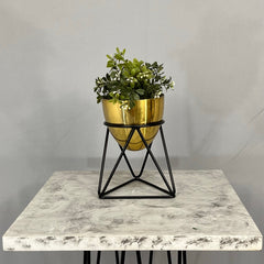 Mini Amazonia con Mini Huevo de Aluminio