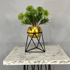 Mini Amazonia con mini Esfera