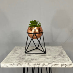 Mini Amazonia con mini Esfera