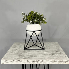 Mini Amazonia con mini Esfera