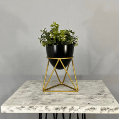 Mini Amazonia con Mini Huevo de Aluminio