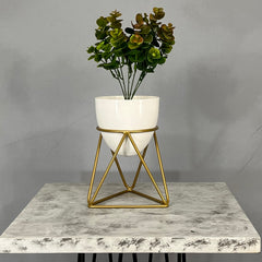 Mini Amazonia con Mini Huevo de Aluminio