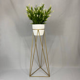 Base Amazonia Dorada con Matero Plastico