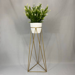 Base Amazonia Dorada con Matero Plastico