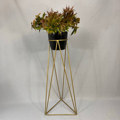 Base Amazonia Dorada con Matero Plastico