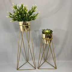 Set Amazonia con materos plasticos