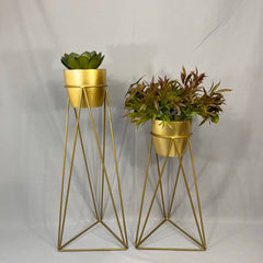 Set Amazonia con materos plasticos