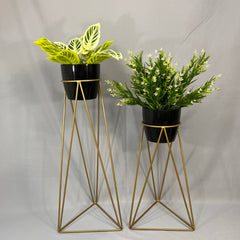 Set Amazonia con materos plasticos