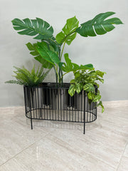 Cristal Triple con Cilindros de Plastico