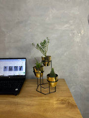 Mini Padreperla con Mini Materos Metalizados