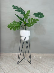 Base Amazonia con Matero grande