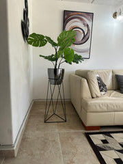 Amazonia con Matero Grande Metalizado