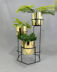 Padreperla de Cilindro con Cilindros Metalizados