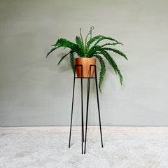 Base Izar con Matero