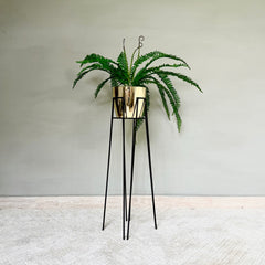 Base Izar con Matero