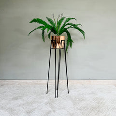 Base Izar con Matero