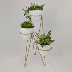 Madreperla con Materos Plasticos