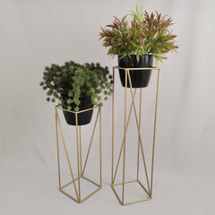 Set Tanzanita con Materos Plasticos