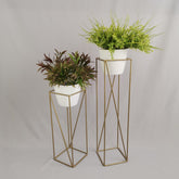 Set Tanzanita con Materos Plasticos