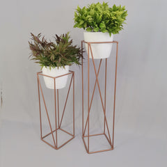 Set Tanzanita con Materos Plasticos