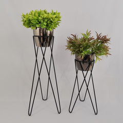 Set Cornalina con Materos Plasticos