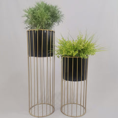 Set cristal con Cilindros de Plastico