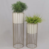 Set cristal con Cilindros de Plastico