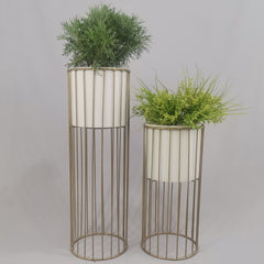 Set cristal con Cilindros de Plastico