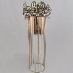 Cristal con Cilindro de Plastico