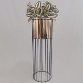 Cristal con Cilindro de Plastico