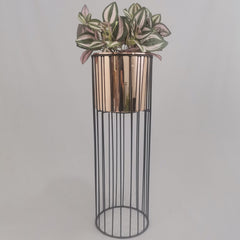 Cristal con Cilindro de Plastico