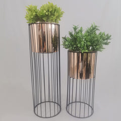 Set cristal con Cilindros de Plastico