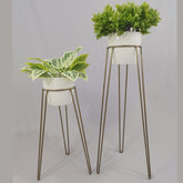 Set Amatista con Materos Plasticos