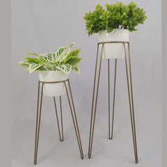 Set Amatista con Materos Plasticos