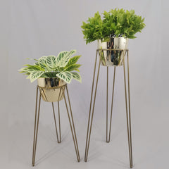 Set Amatista con Materos Plasticos