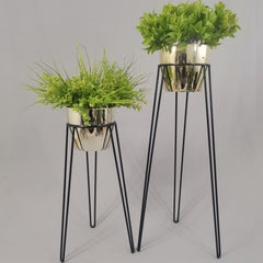 Set Amatista con Materos Plasticos