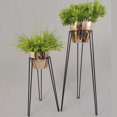 Set Amatista con Materos Plasticos