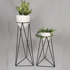 Set amazonia con Huevos de Aluminio