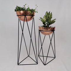 Set amazonia con Media Esferas de Aluminio