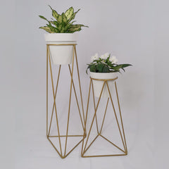 Set Amazonia con Matero Clasico Plastico