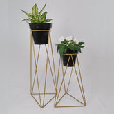 Set Amazonia con Matero Clasico Plastico