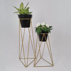 Set Amazonia con Matero Clasico Plastico