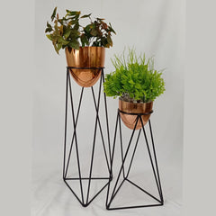 Set amazonia con Huevos de Aluminio